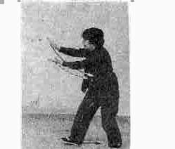 ซุง ชุดมวยช้า ท่าที่ 8 รูปที่ 6